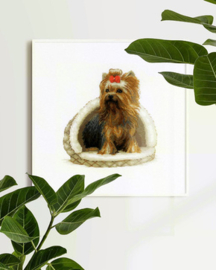 Borduurpakket Yorkshire Terrier - RIOLIS    ri-2152
