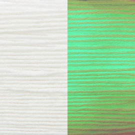 Ricorumi Glow in the Dark dk - 25g - 60m