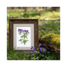 Borduurpakket Violet - RTO    rto-c451