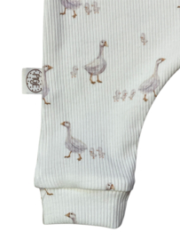 Boxpakje Eendjes Ribtricot