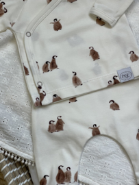 Newborn set pinguin