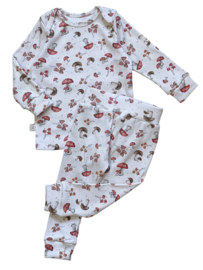 Set rib herfst