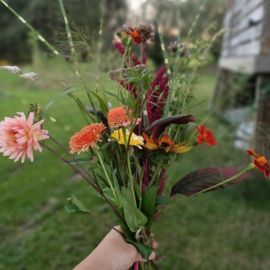 Workshop in de bloementuin: Pluk je veldboeket -  zaterdag 30 augustus