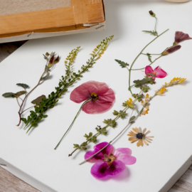 Workshop Bloemen persen