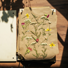 Workshop Bloemen persen