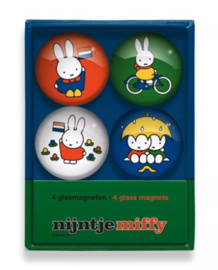 Glasmagneten Nijntje