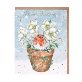 Set 8 Kerstkaarten Season's Tweetings Wrendale Designs