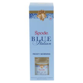 Diffuser Frosty Morning - Spode Blue Italian