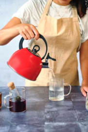 Fluitketel Rood Cosy & Trendy