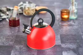 Fluitketel Rood Cosy & Trendy