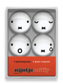 Set Glasmagneten Snoet Nijntje