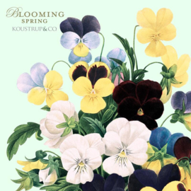 Set 8 Kaarten met Envelop Blooming Spring - Koustrup & Co.