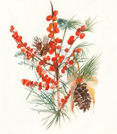Ansichtkaart Christmas Berry - Ping He Art