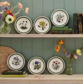 Gebaksbord Botanic Garden Etchings Portmeirion