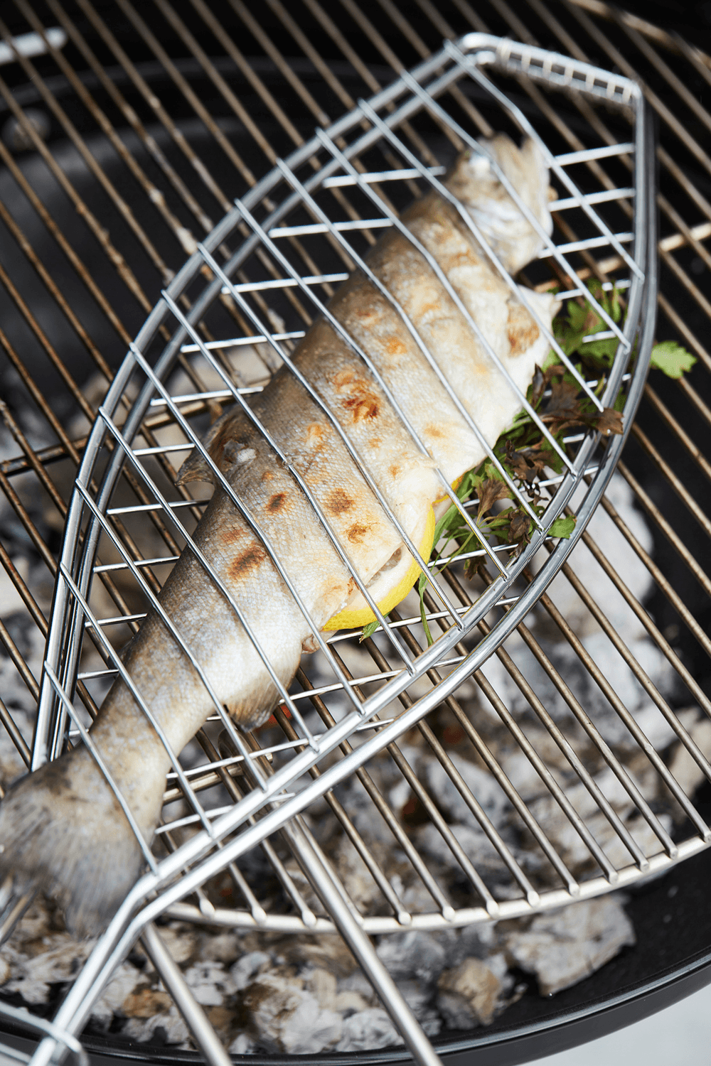 Visgrill Barbecook