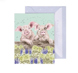 Kaartje Nosy Neigh-boars Wrendale Designs