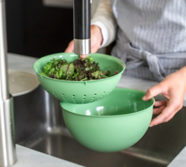 Schaal Nature Leaf Green Palsby M Koziol