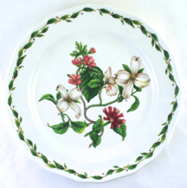 Dinerbord Dogwood Gourmet Garden - Noritake