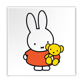 Magneet Nijntje Teddy