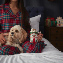 Mok Green Village Christmas Tree Spode