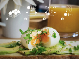 PiepEi Oranje Brainstream