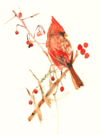 Ansichtkaart Winter Cardinal - Ping He Art