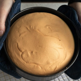 Springvorm 22 cm. BrandNewCake