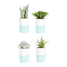 Kunstplant in Pot (11 cm.) - Sema Design