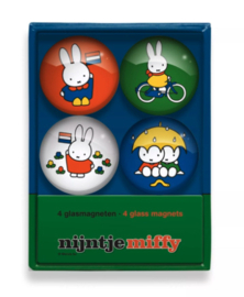 Set Glasmagneten Nijntje