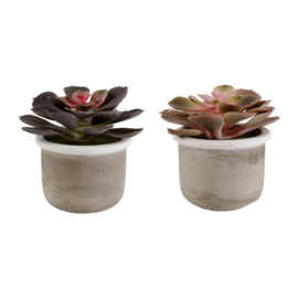 Kunstplant in Pot (12 cm.) - Sema Design