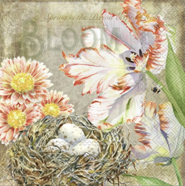 Servetten Augusta Ihr