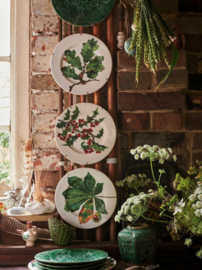 Ontbijtbord Horse Chestnut & Conker Emma Bridgewater