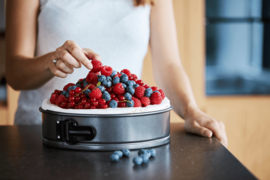 Springvorm 23 cm.  Point-Vergule