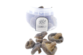 Shiitake Champilly