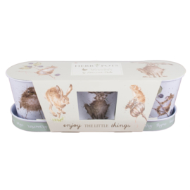 Set 3 Kruidenpotjes met Houder Mouse - Wrendale Designs