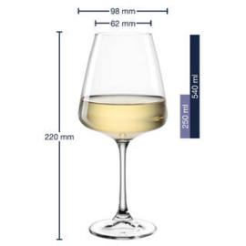Witte Wijnglas Paladino Leonardo