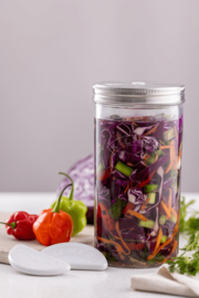 Fermenteer Set 1 liter Kilner