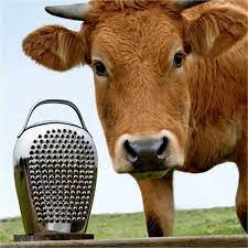 Kaasrasp Cheese Please Alessi