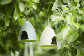 Voederhuisje voor Vogels Groen Point-Vergule