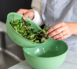 Schaal Nature Leaf Green Palsby M Koziol