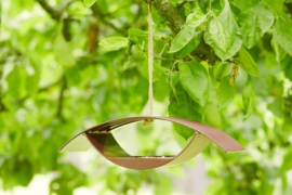 Voederhuisje voor Vogels Vintage Maroon Point-Vergule