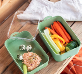 Bentobox Nature Leaf Green Stakk Koziol