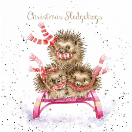 Set 8 Kerstkaarten 'Christmas Sledgehogs' - Wrendale Designs