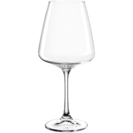 Witte Wijnglas Paladino Leonardo