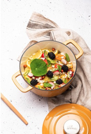 Braadpan 2,7 liter Amber Gold Cosy & Trendy