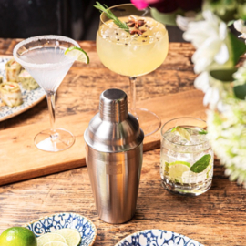Cocktail Shaker Vacu Vin