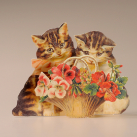 Wenskaart Cats & Flowers - Mamelok
