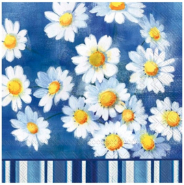 Servetten Agnetha Ihr