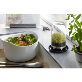 Kiempot BIVITA GEFU