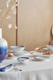 Schaaltje Pip & The Blue Bird Pip Studio